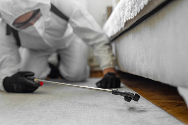 Professional Bed Bug Control technician working in Sharpsburg, NC