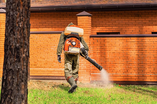 Trusted Emergency Pest Control service in Sharpsburg, NC - Nex Pest Control